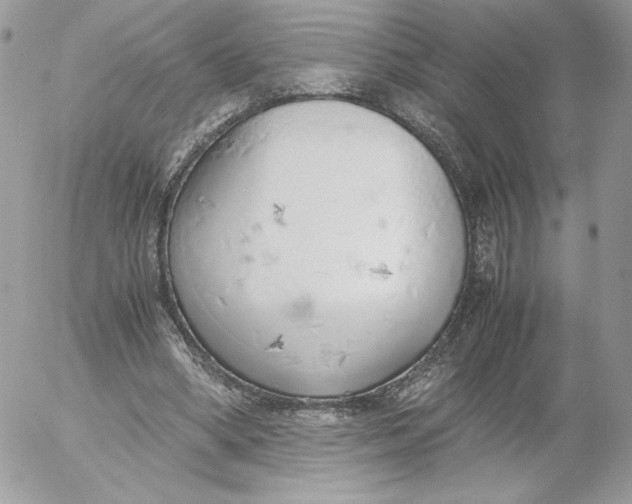 X0000052600394200507221639