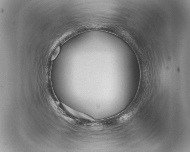 X0000052600395200507221639