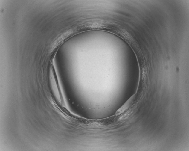 X0000052600397200507221639