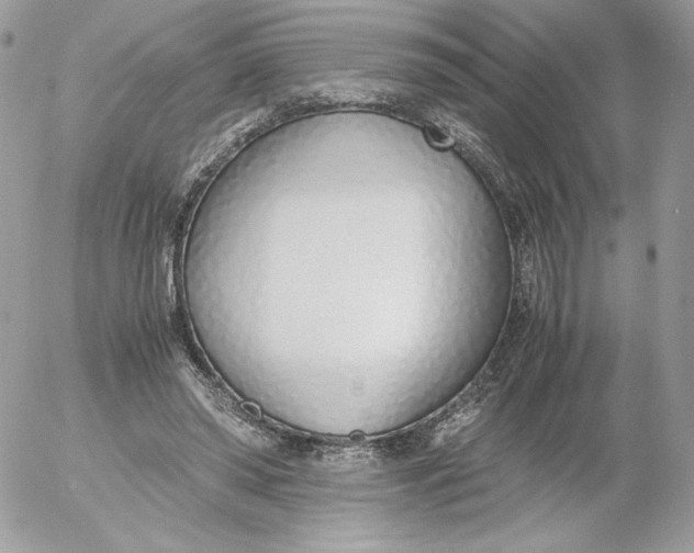 X0000052600398200507221639