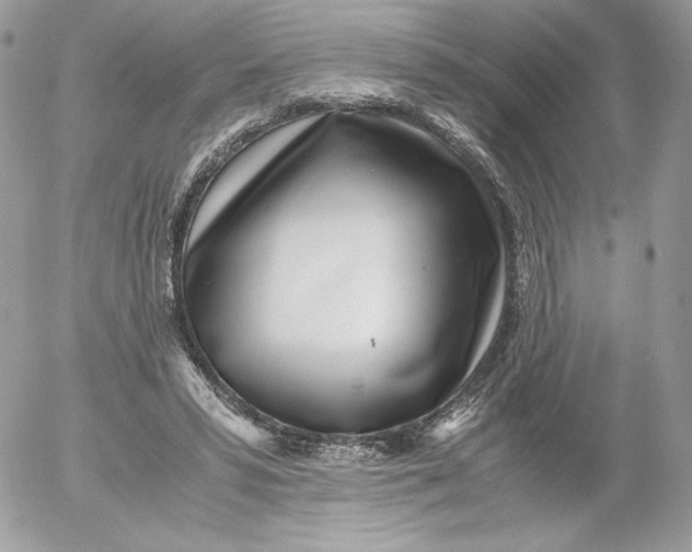 X0000052600399200507221639