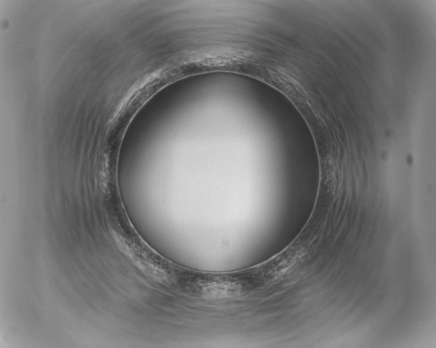 X0000052600400200507221639