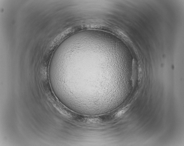 X0000052600401200507221639