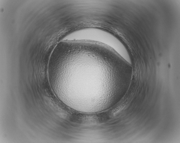 X0000052600402200507221639