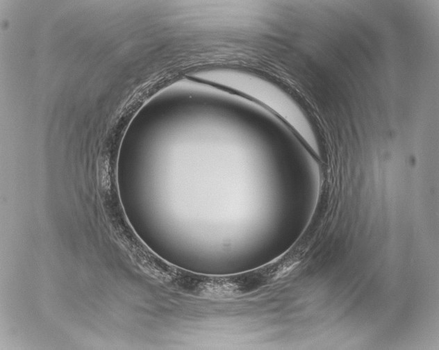 X0000052600403200507221639