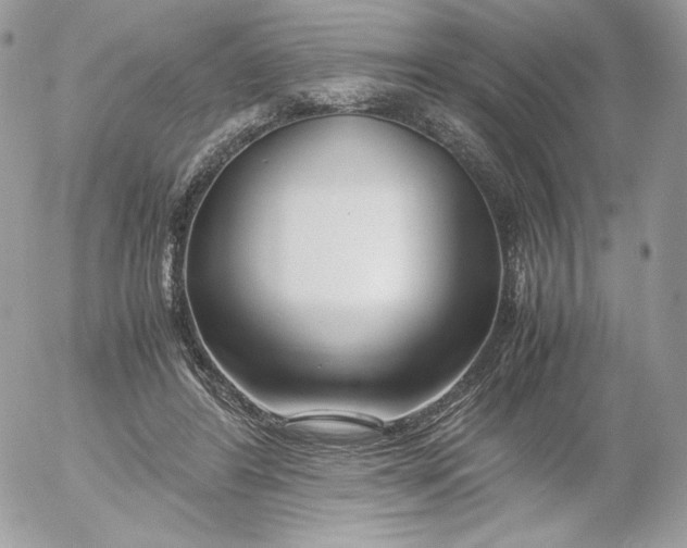 X0000052600404200507221639