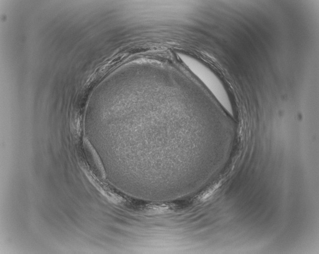 X0000052600405200507221639