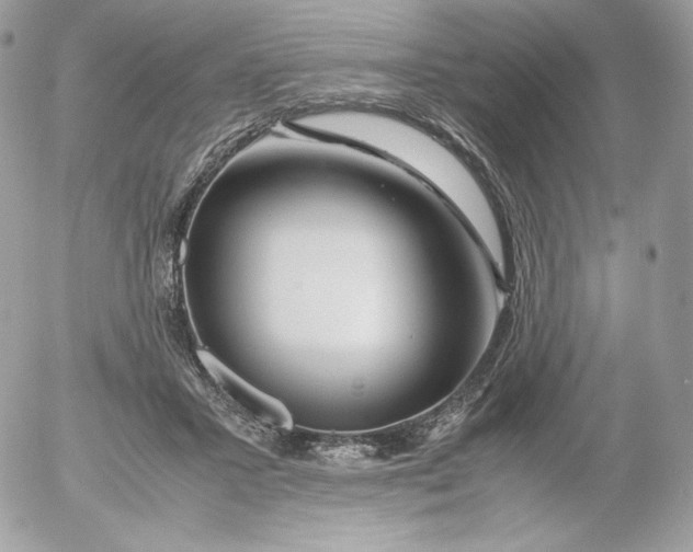 X0000052600407200507221639