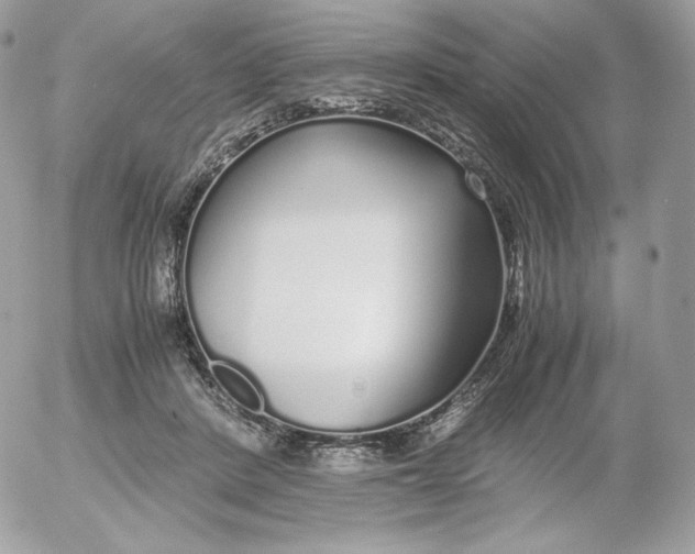 X0000052600408200507221639