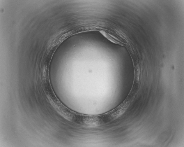 X0000052600410200507221639