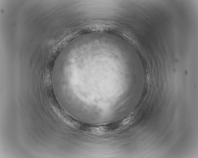 X0000052600411200507221639