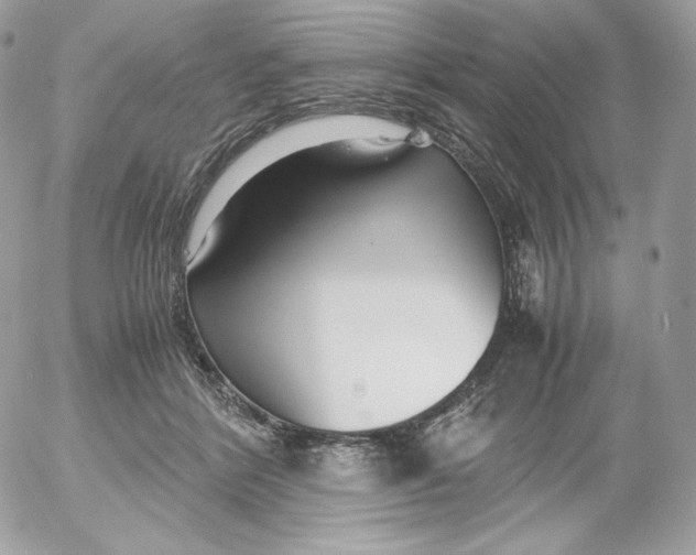 X0000052600412200507221639