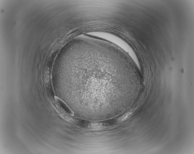 X0000052600413200507221639