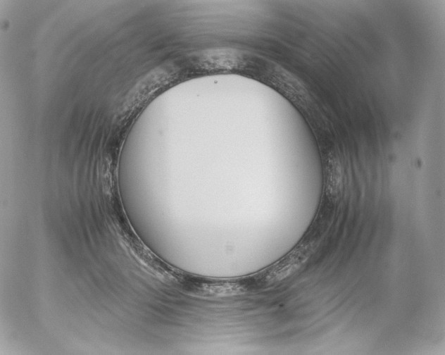 X0000052600414200507221639