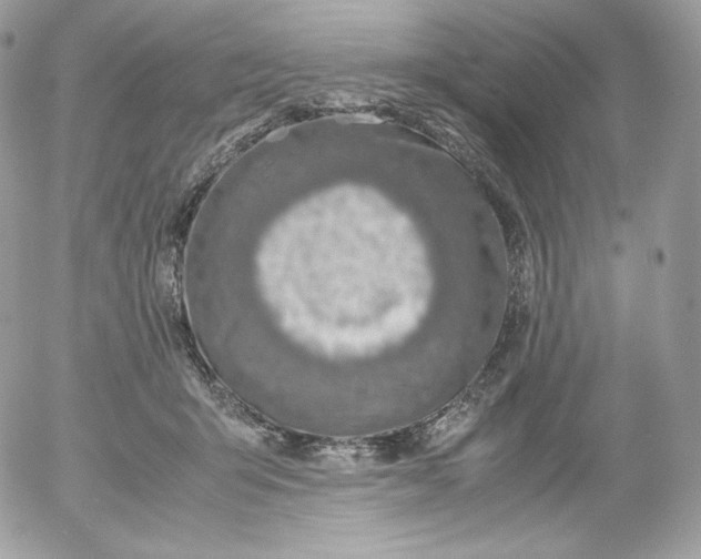 X0000052600415200507221639