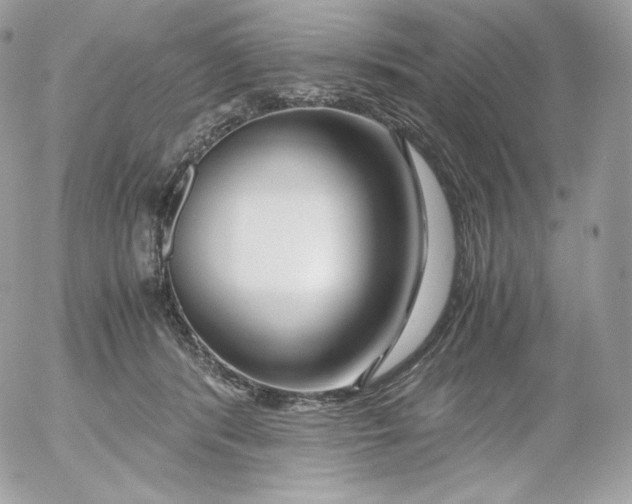 X0000052600416200507221639