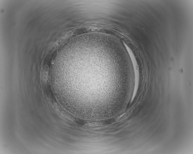 X0000052600417200507221639