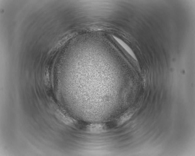 X0000052600418200507221639