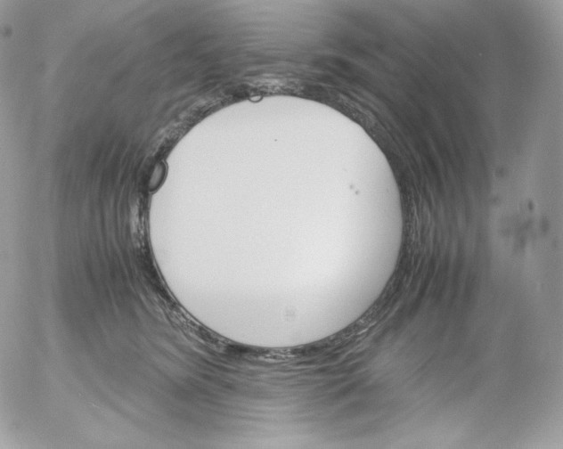 X0000052600420200507221639