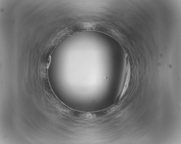 X0000052600421200507221639