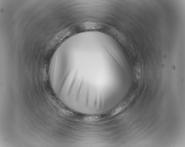 X0000052600422200507221639