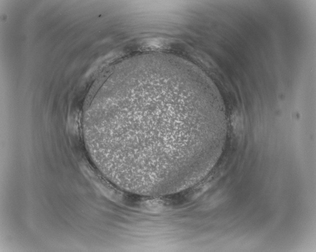 X0000052600423200507221639