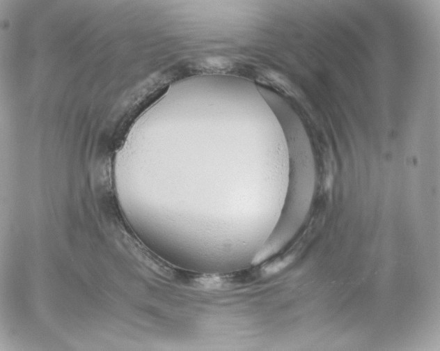 X0000052600425200507221639