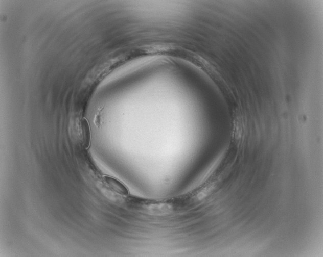 X0000052600426200507221639