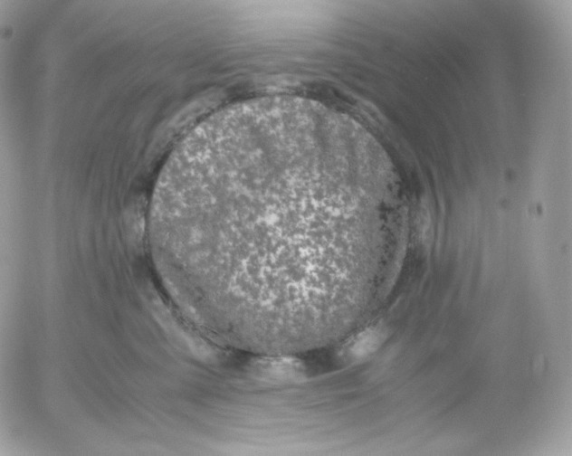 X0000052600427200507221639