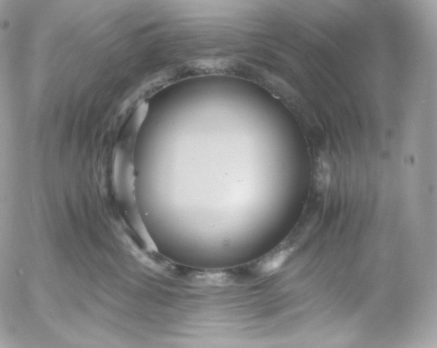 X0000052600428200507221639