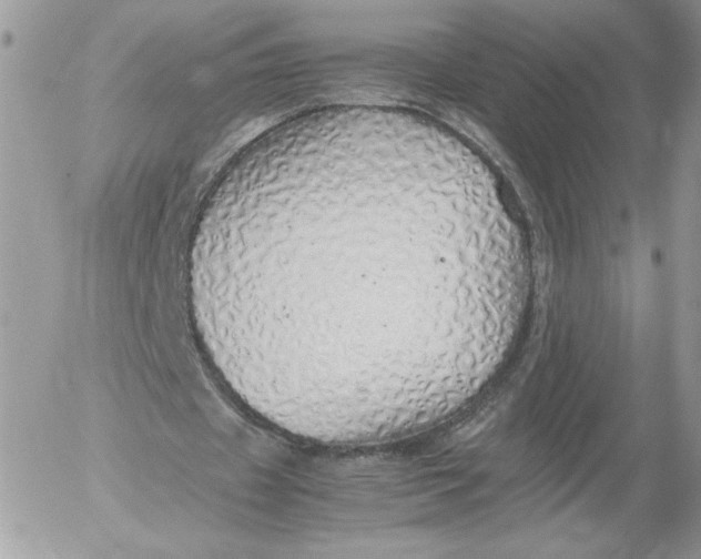 X0000052600433200507221638