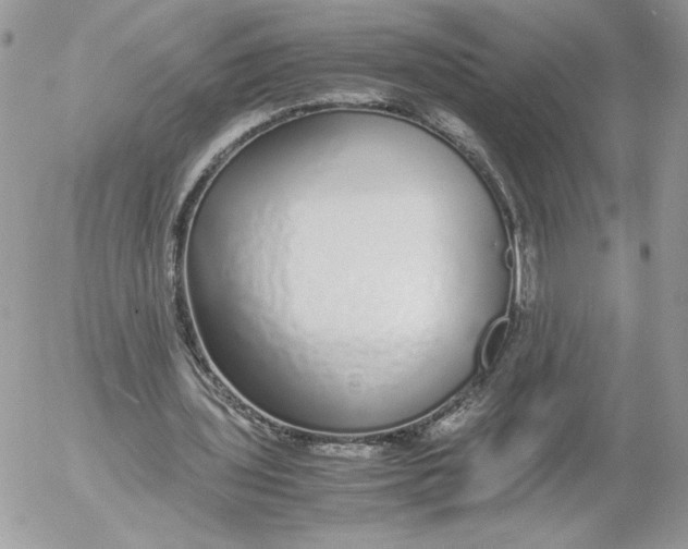 X0000052600435200507221638