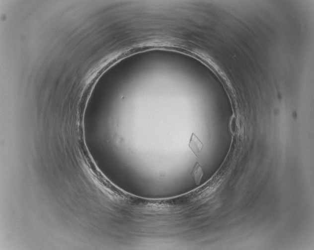 X0000052600437200507221638