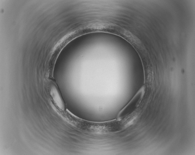 X0000052600440200507221638