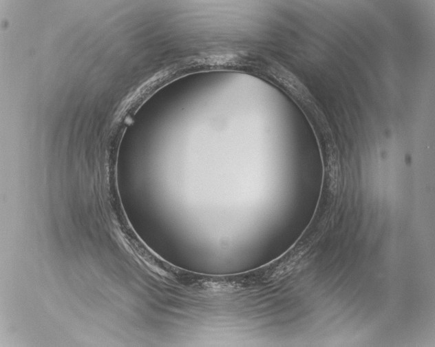 X0000052600442200507221638