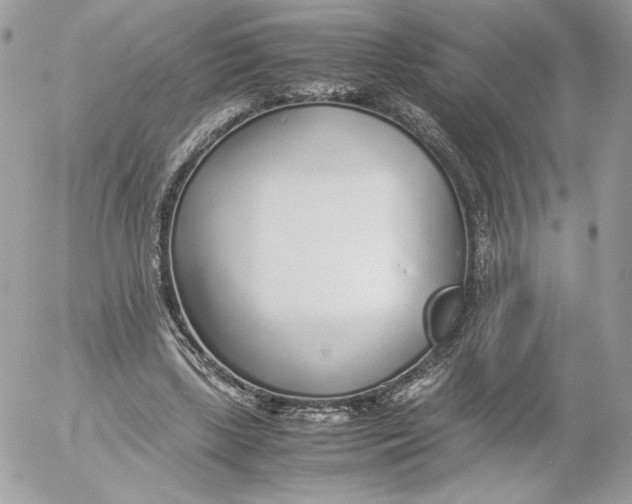 X0000052600443200507221638