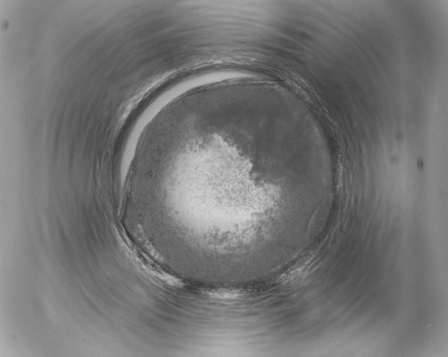 X0000052600444200507221638