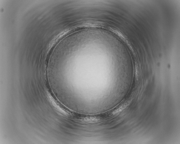 X0000052600445200507221638