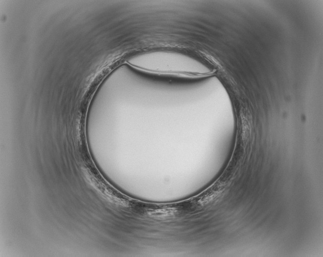 X0000052600447200507221638