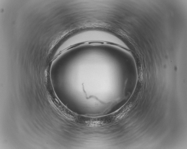 X0000052600448200507221638