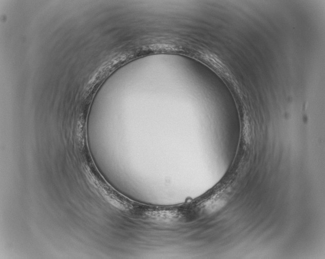 X0000052600449200507221638