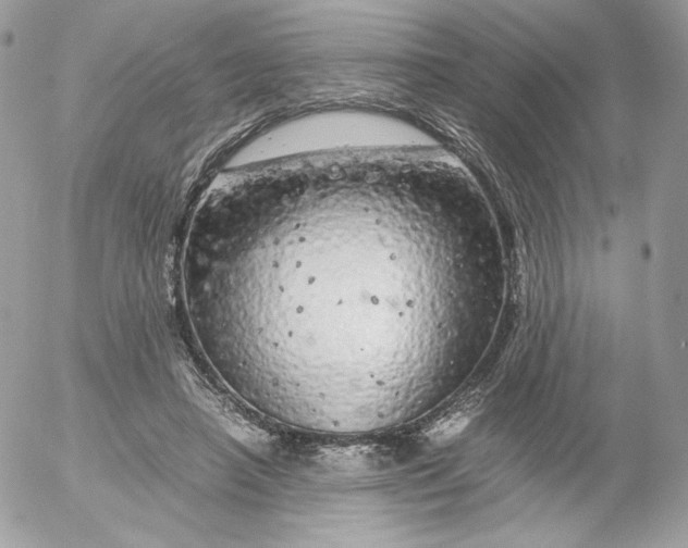 X0000052600450200507221638