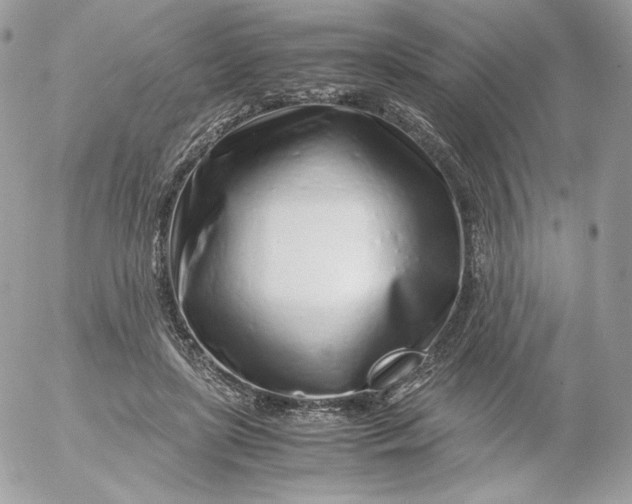 X0000052600451200507221638