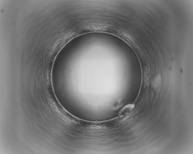 X0000052600453200507221638