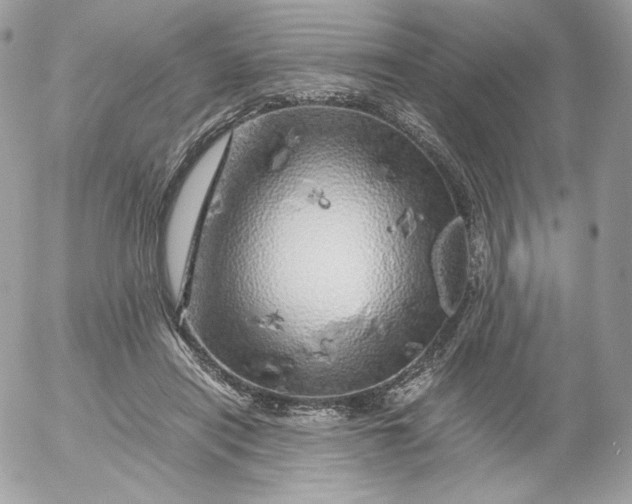 X0000052600454200507221638