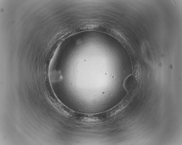 X0000052600455200507221638