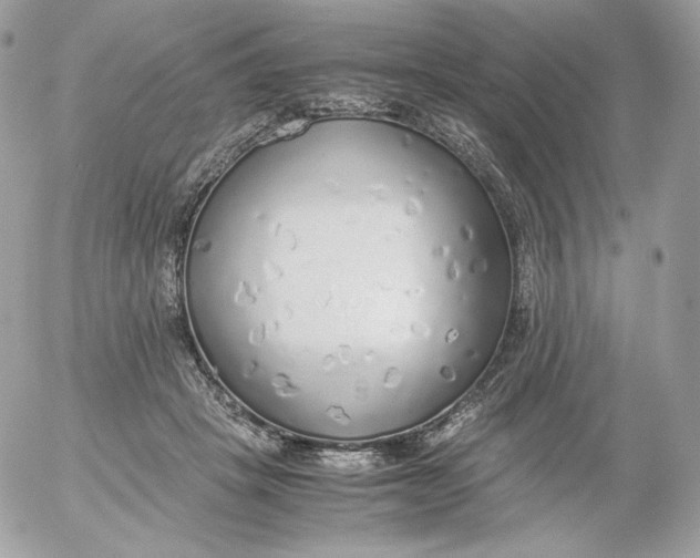 X0000052600457200507221638