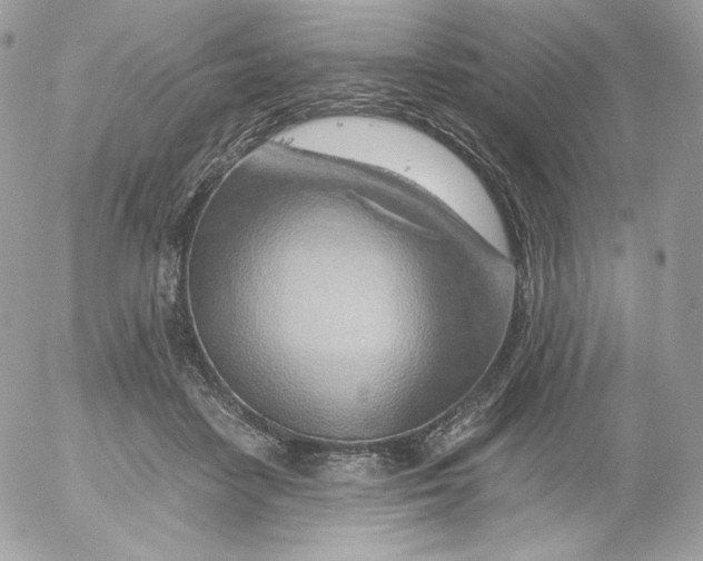 X0000052600458200507221638