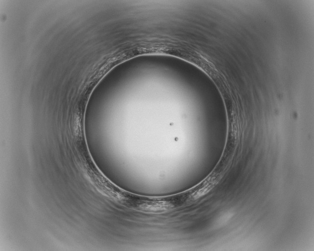 X0000052600459200507221638