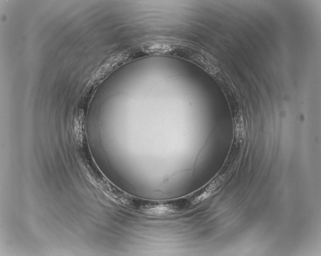 X0000052600460200507221638